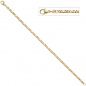 Preview: Armband 333 Gold Gelbgold 18,5 cm Goldarmband