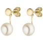 Preview: Ohrhänger 585 Gold Gelbgold 2 Süßwasser Perlen Ohrringe Perlenohrringe