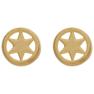 Preview: Ohrstecker Stern 375 Gold Gelbgold mattiert Ohrringe