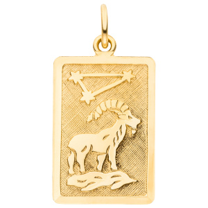 Anhänger Sternzeichen Steinbock eckig 333 Gold Gelbgold matt