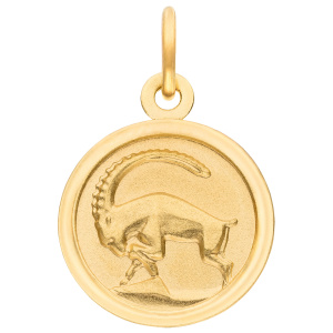 Anhänger Sternzeichen Steinbock rund 333 Gold Gelbgold matt