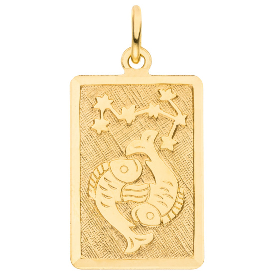Anhänger Sternzeichen Fische eckig 333 Gold Gelbgold matt