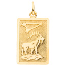 Anhänger Sternzeichen Steinbock eckig 333 Gold Gelbgold matt