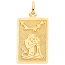 Anhänger Sternzeichen Wassermann eckig 333 Gold Gelbgold matt