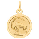 Anhänger Sternzeichen Steinbock rund 333 Gold Gelbgold matt